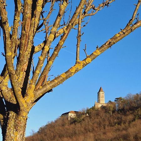 Burgblick Apartment- 60Qm, Kueche, Waschmaschine, Streamingdienste Seebenstein ภายนอก รูปภาพ