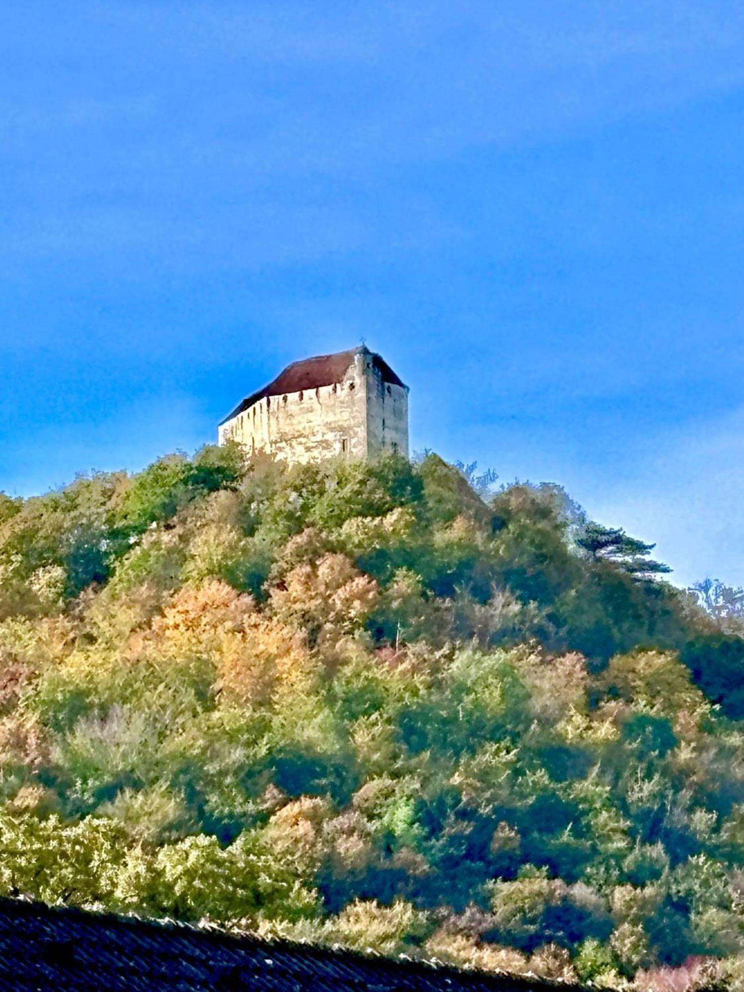 Burgblick Apartment- 60Qm, Kueche, Waschmaschine, Streamingdienste Seebenstein ภายนอก รูปภาพ