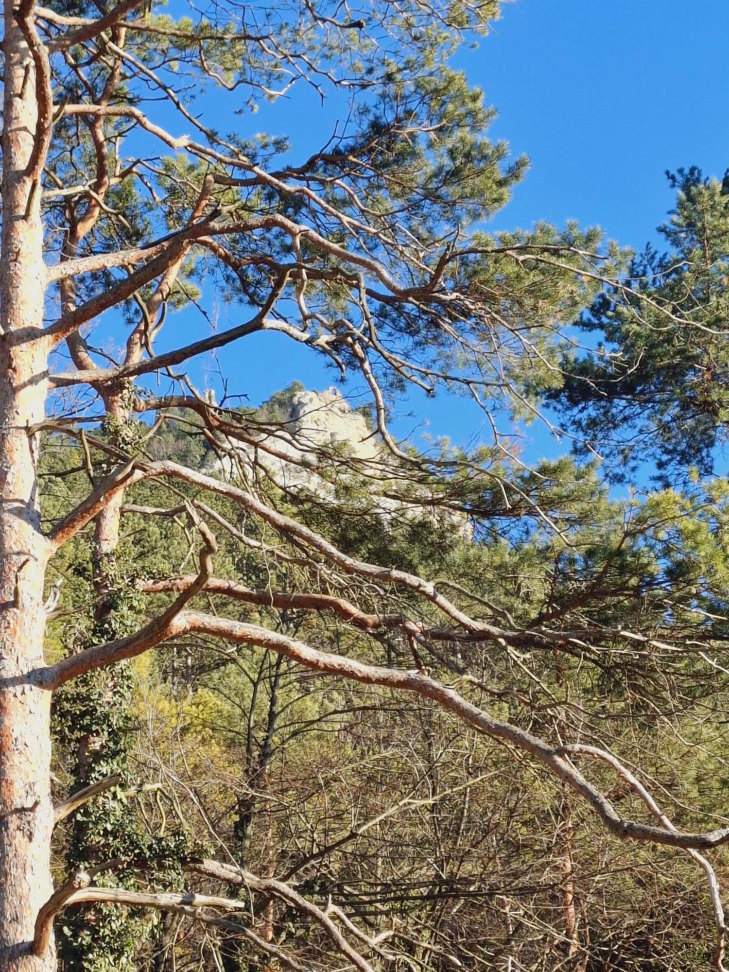Burgblick Apartment- 60Qm, Kueche, Waschmaschine, Streamingdienste Seebenstein ภายนอก รูปภาพ