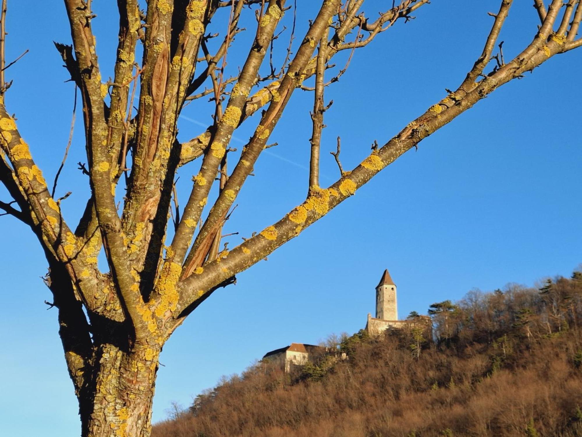 Burgblick Apartment- 60Qm, Kueche, Waschmaschine, Streamingdienste Seebenstein ภายนอก รูปภาพ