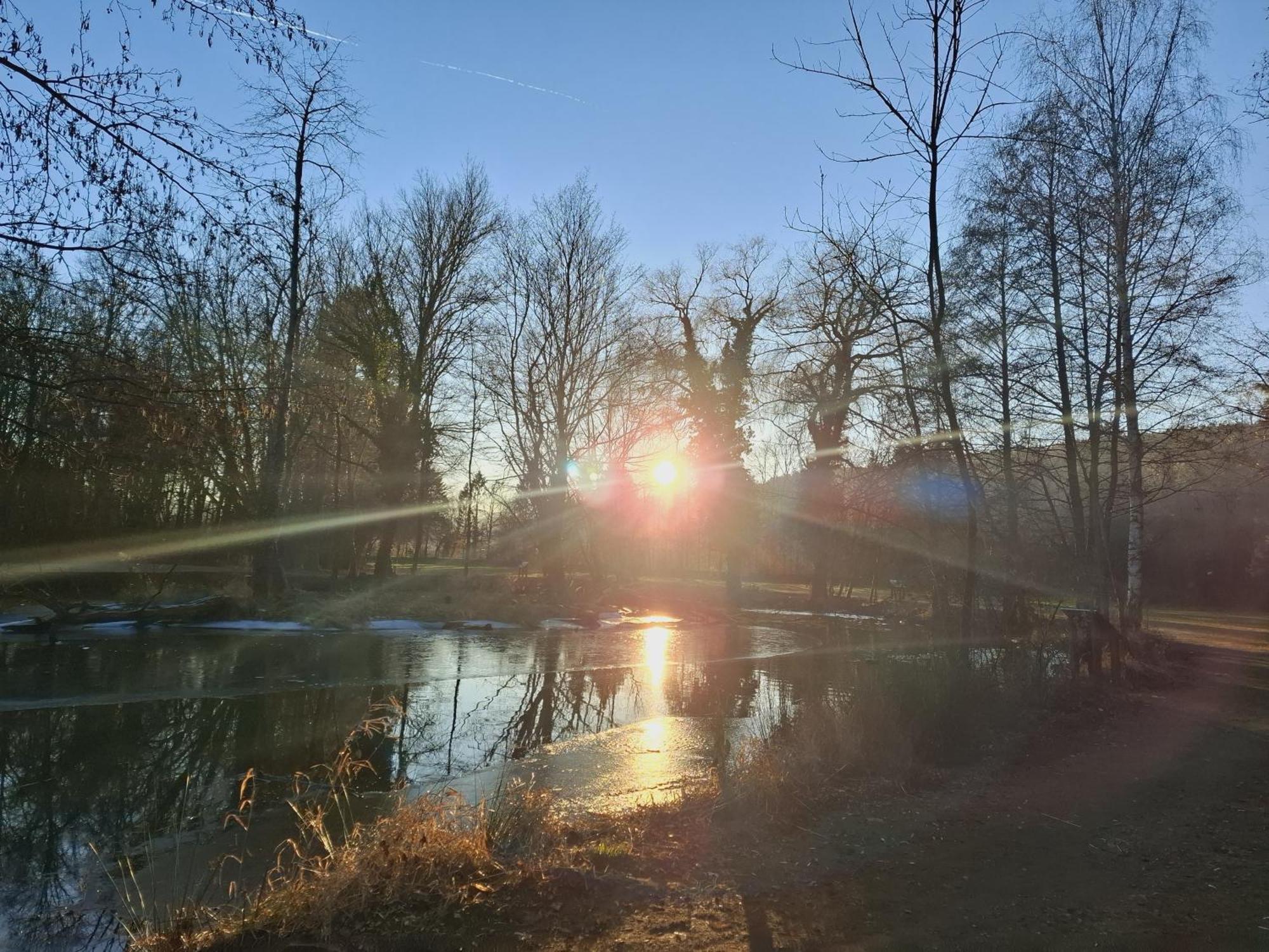 Burgblick Apartment- 60Qm, Kueche, Waschmaschine, Streamingdienste Seebenstein ภายนอก รูปภาพ